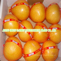 Pomelo frais